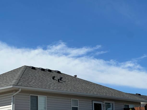 Best Asphalt Shingle Roofing  in Arcadia, IN